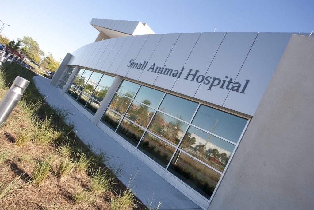 UF Small Animal Hospital