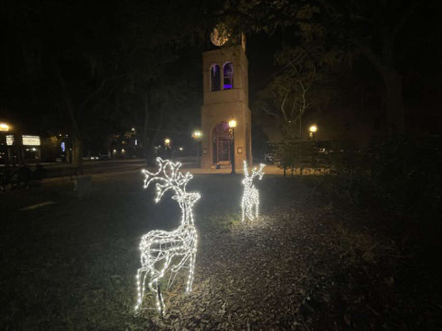 Dazzling Lights and Special Events Brighten Gainesville for the Holidays