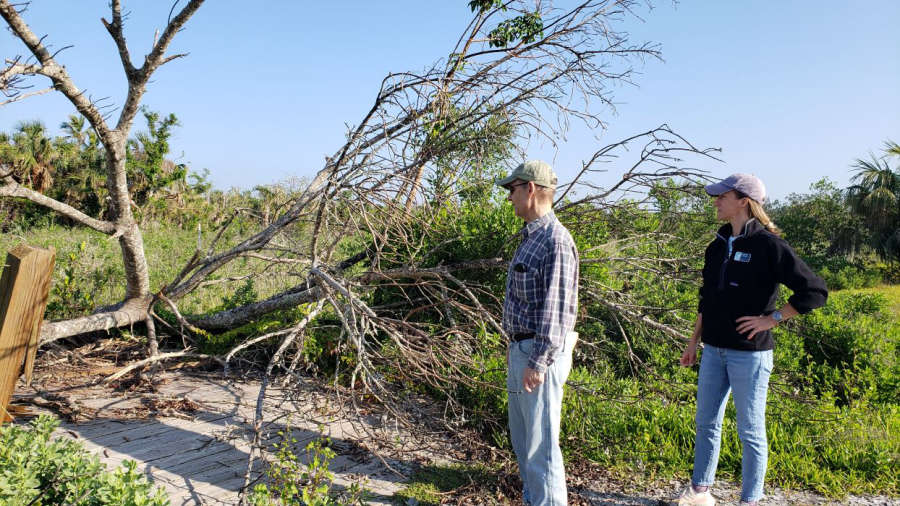 UF archaeologists will study hurricane damage to key Florida indigenous sites