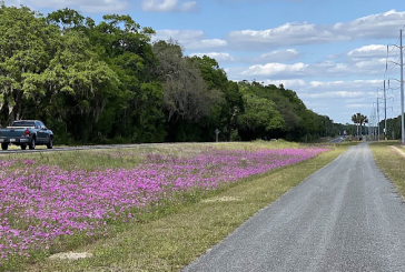 Alachua County to receive $13M for completion of Archer Braid Trail