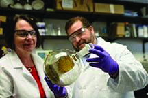UF-College-of-Pharmacy-receives-3.5-million-NIDA-grant
