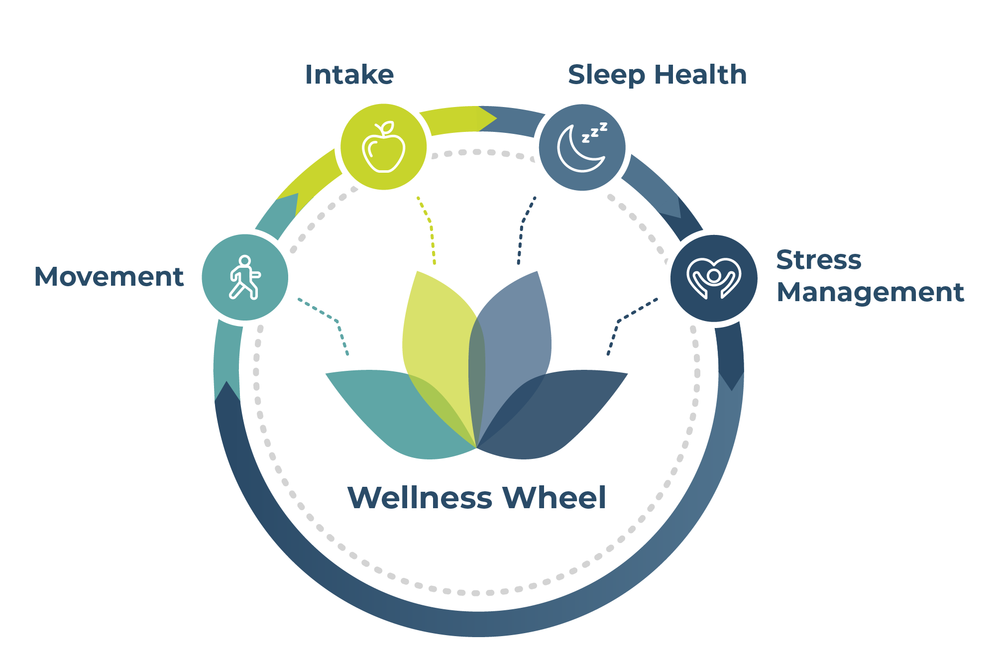 Impact Health 360 Wellness Wheel_Transparent